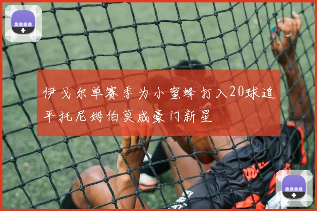 伊戈尔单赛季为小蜜蜂打入20球追平托尼姆伯莫成豪门新星